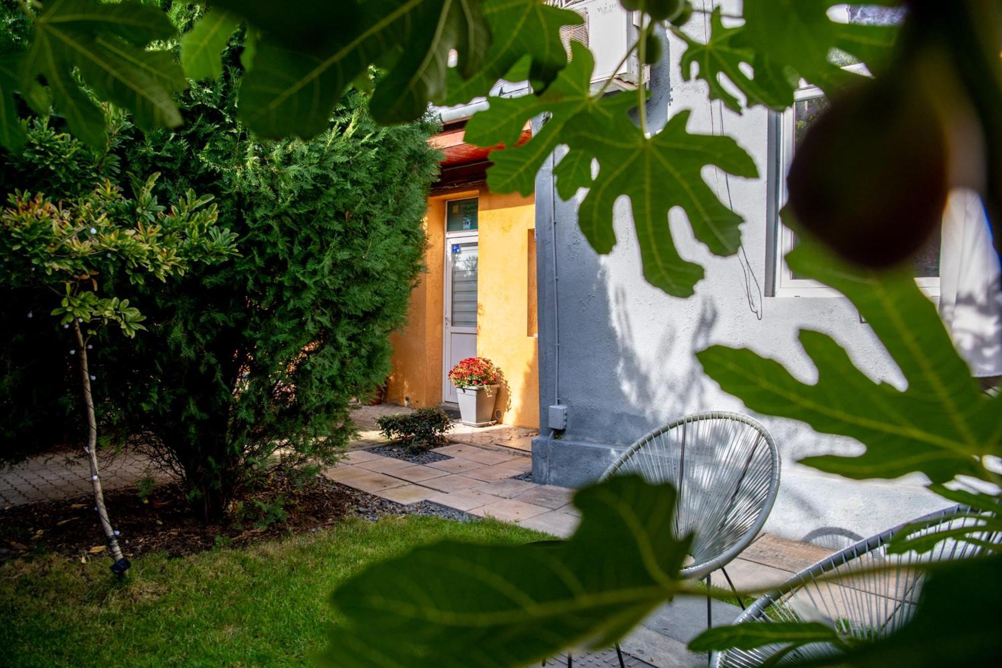 Dulcineea Downtown Garden Studio Timişoara Eksteriør bilde