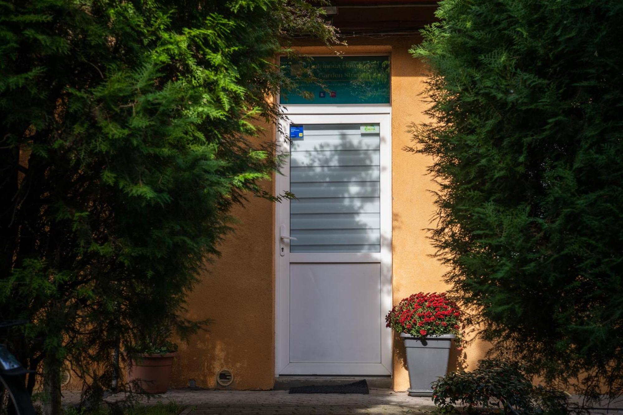 Dulcineea Downtown Garden Studio Timişoara Eksteriør bilde